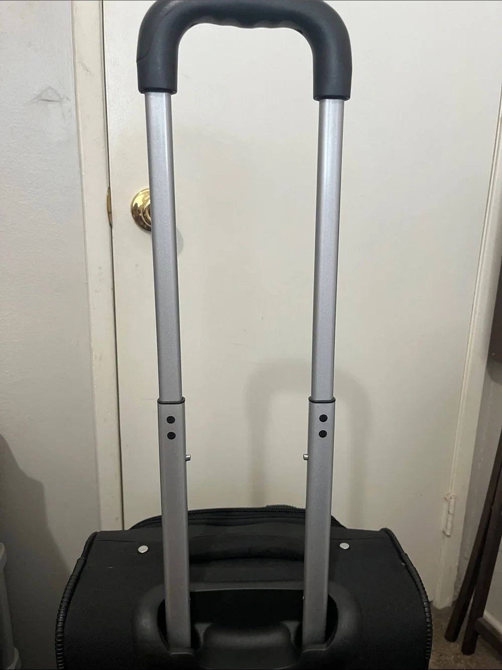 Walt Disney trademark luggage with 